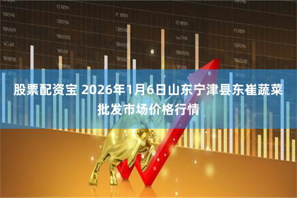 股票配资宝 2026年1月6日山东宁津县东崔蔬菜批发市场价格行情
